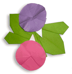 â morning glory origami flower origami morning kusudama glory origami â morning glory origami flower origami morning kusudama glory origami